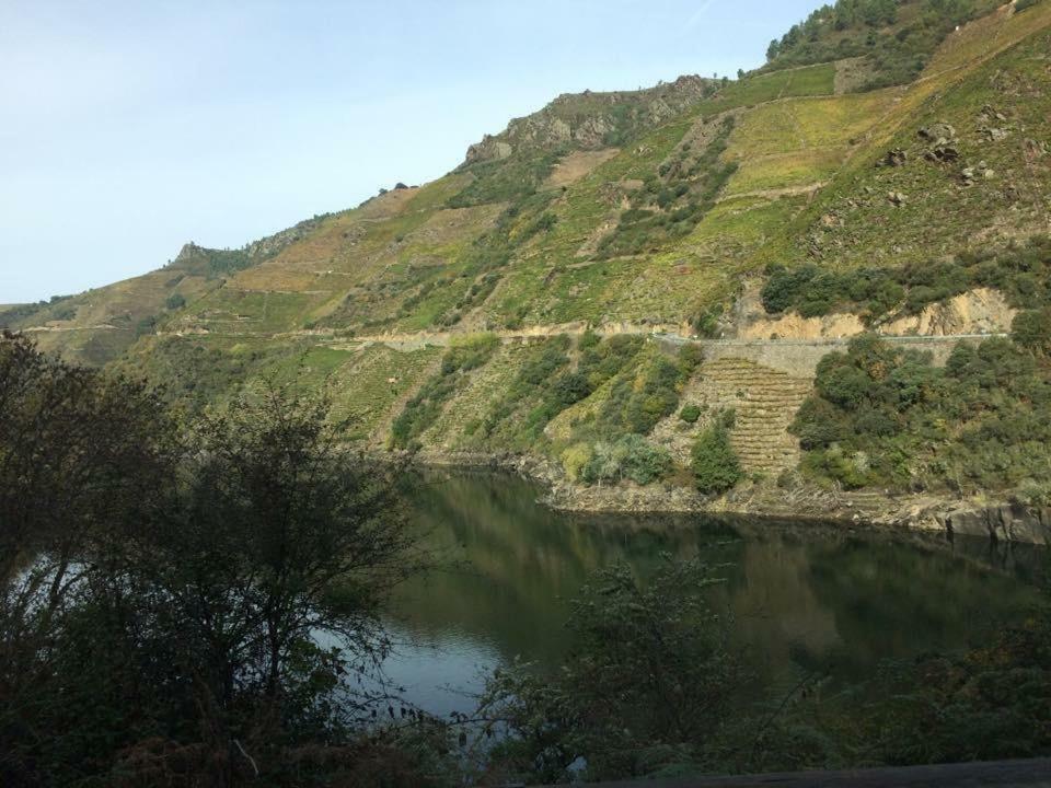 Acogedor Apartamento Ribeira Sacra Monforte De Lemos Zewnętrze zdjęcie