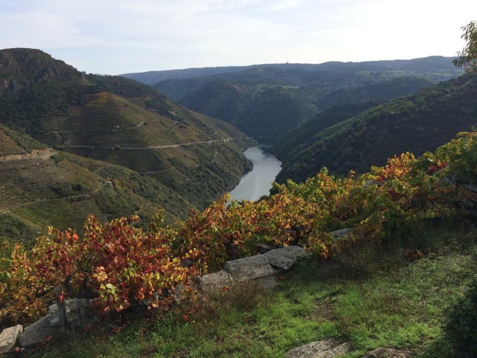 Acogedor Apartamento Ribeira Sacra Monforte De Lemos Zewnętrze zdjęcie